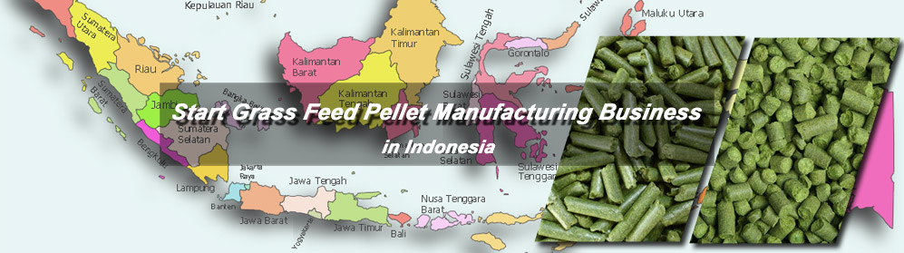 start grass feed pellet manufacturing business in Indonesia