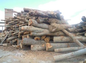 hard wood
