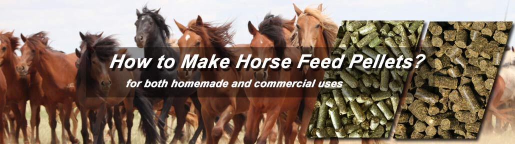 make horse feed pellet at factory price