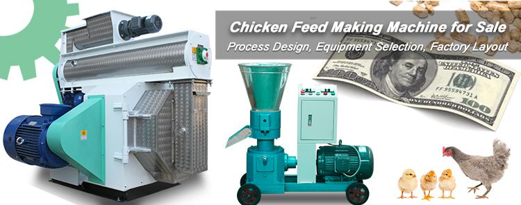 Becoming Rich with Chicken Feed Making Machine