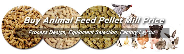 Make Animal Feed Pellet by GEMCO Pellet Mill