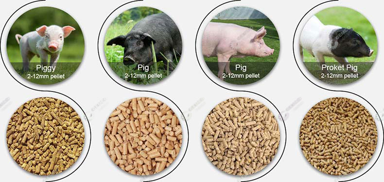 high quality feed pellets for different pigs