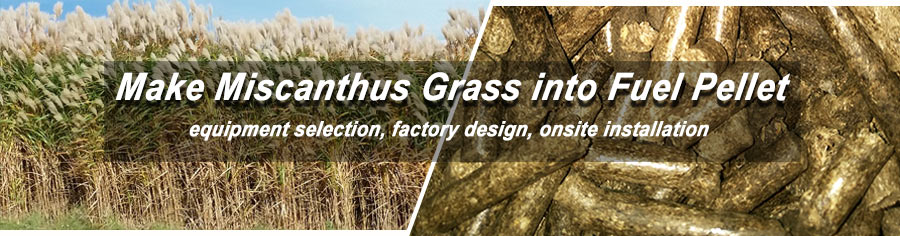 start miscanthus garss pellet manufacturing business