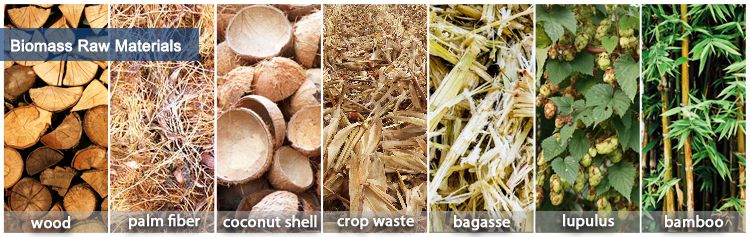 Make Pellet Fuel from Biomass Materials
