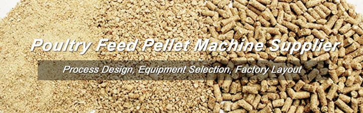 Choosing the Right Poultry Feed Pellet Mill Manufacturer: A Guide for  Poultry Farmers - Poultry Feed Pellet Machine