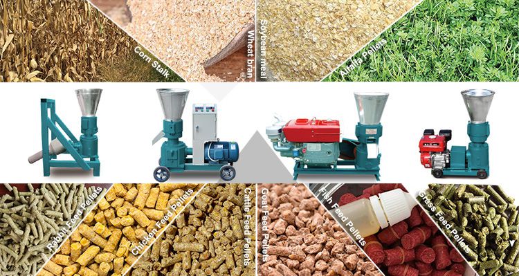 Grass Pellet Machine For Sale Making Grass Pellets For Feed