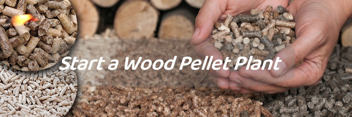 beginner guide to start biomass pellet plant