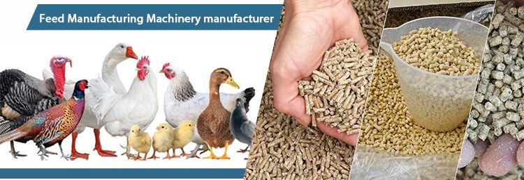 poultry feed pellet production cost