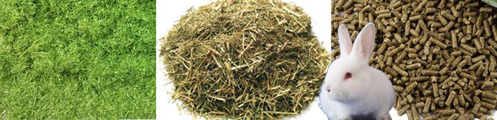 Rabbit Feed Pellets