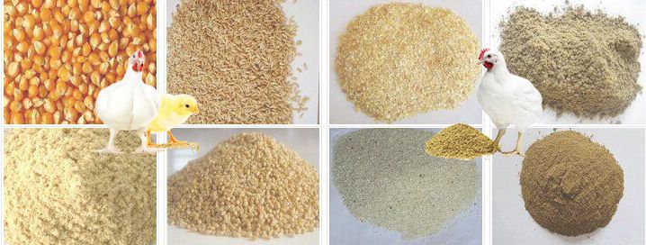raw materials for poultry animal feed