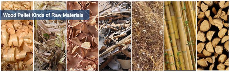Raw Materials for the Production of Wood Pellets