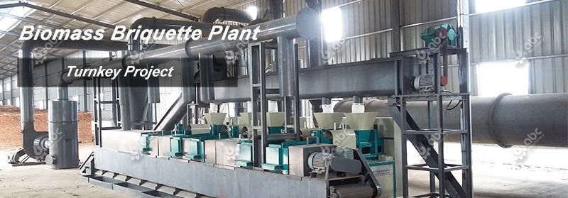 briquettes plant setup cost