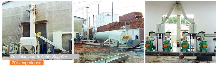 Setup Wood Pellet Plant for Business