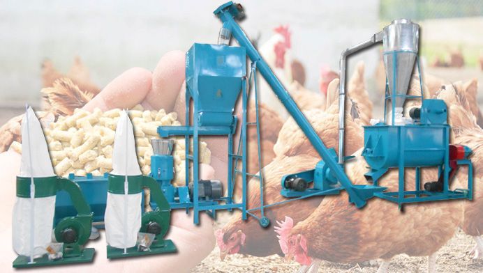 Small Poultry Feed Pellet Plant