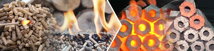 Start Biomass Pellets and Briquettes Business in Pakistan