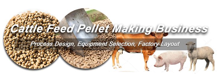 Start Cattle Feed Pellet Making Business