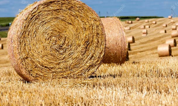 making straw pellets