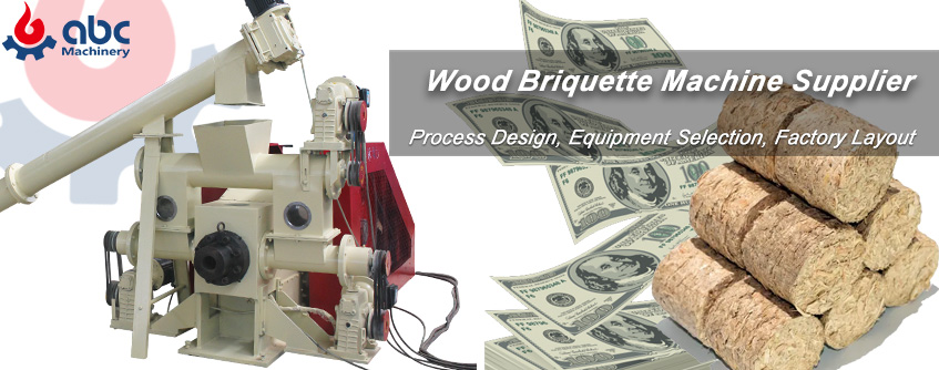 wood briquette machine plant cost 