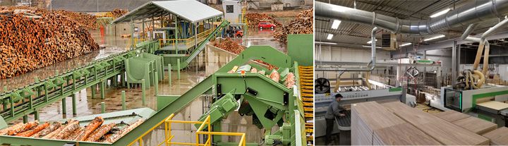 wood processing industry