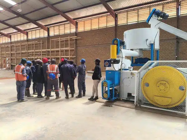 Crusher And Screw Conveyor Section On Wood Briquette Production Line In Tanzania