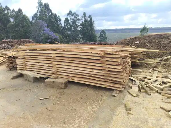 Sawmill Wood Yard With Log Piles And Sawdust Waste For Briquette Raw Material In Tanzania